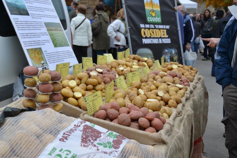 XV ANIVERSARIO de la Feria Agrícola, Ganadera y de la Patata de Losa en Quincoces de Yuso