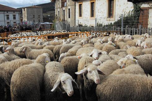 La Feria del Valle de Losa 2110 sobrepasó los objetivos