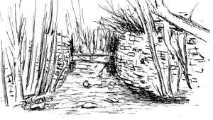 Castrobarto, Lobera, Acebos